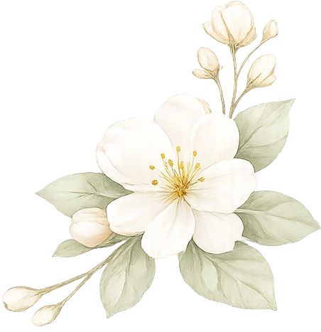 Blume-Rechts